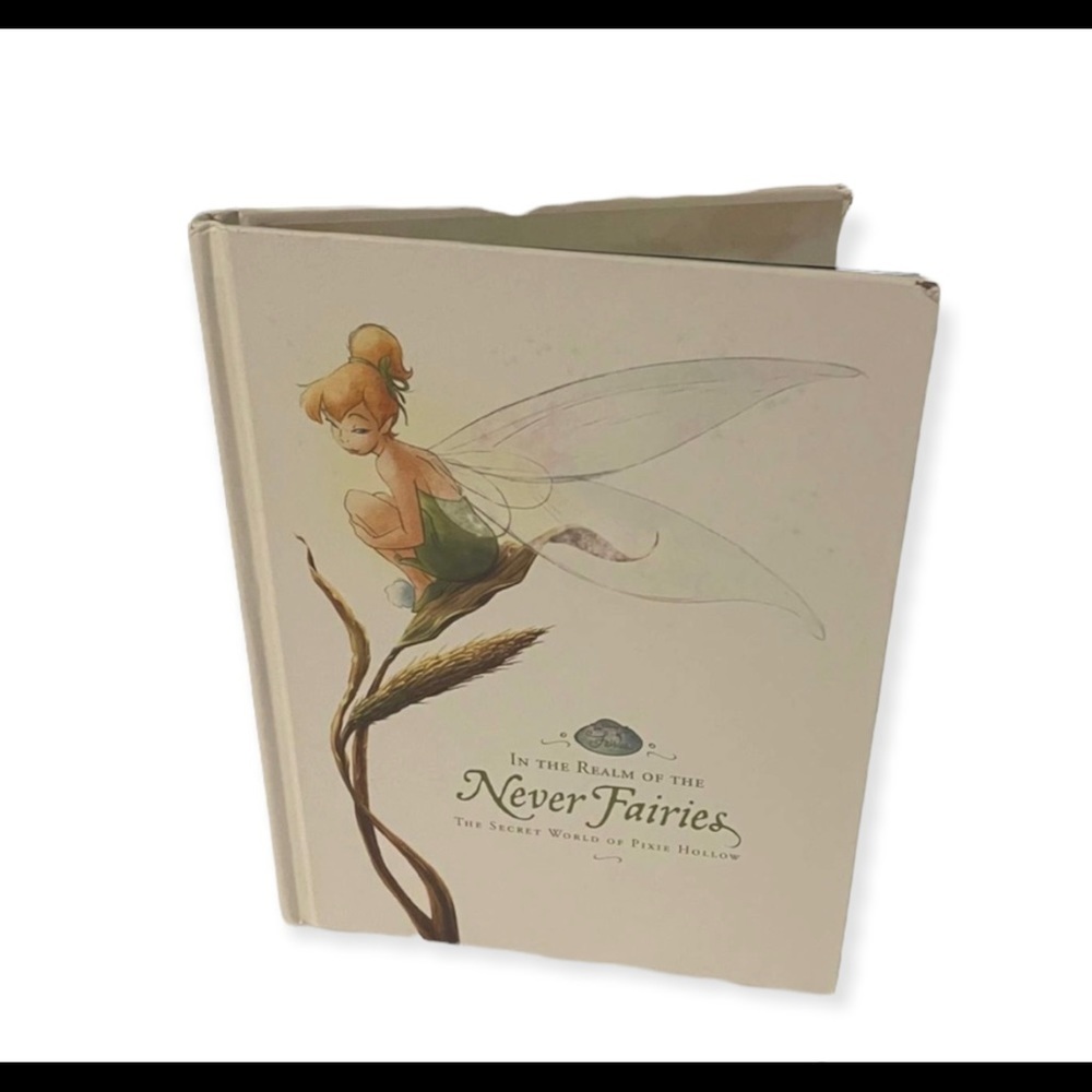 𝅺disney other In The Realm Of The Never Fairles Children's Book